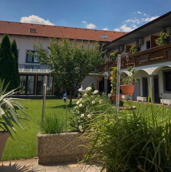 Gaestehaus Und Weinbau Zur Wiederkehr Strudler Подерсдорф ам Зее Екстериор снимка